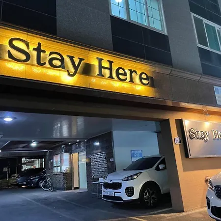Stay Here